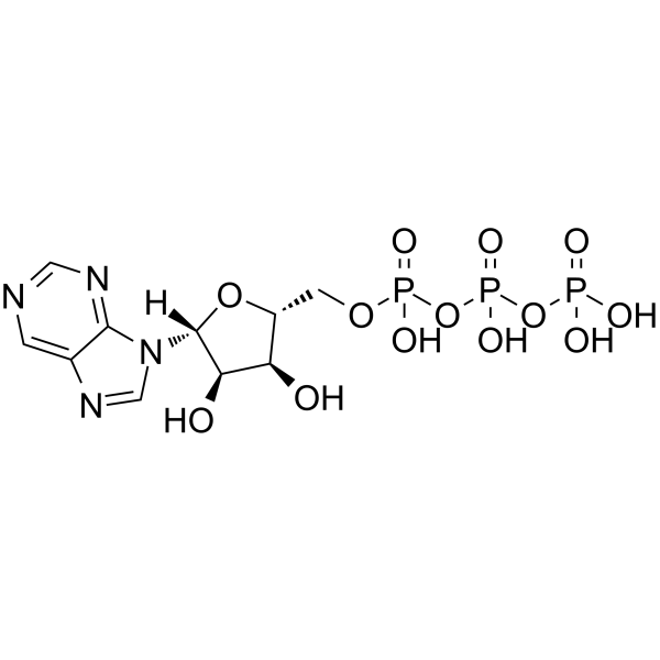 Purine riboside triphosphate Chemical Structure