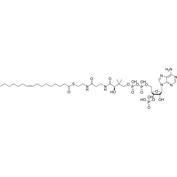 Palmitoleoyl-CoA Chemical Structure