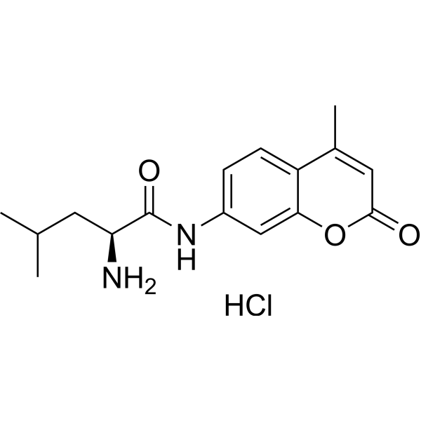 L-Leucine-<em>7-amido</em>-4-<em>methylcoumarin</em> hydrochloride