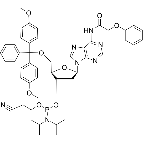 <em>DMT</em>-dA(PAc) Phosphoramidite