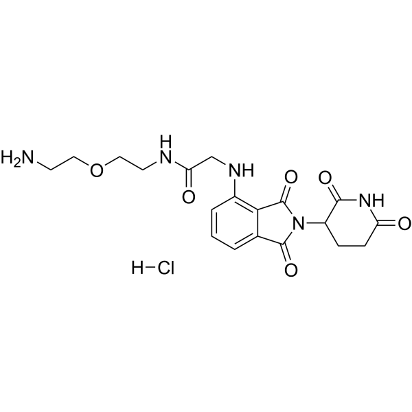 Thalidomide-NH-amido-<em>PEG</em>1-C2-NH2 hydrochloride