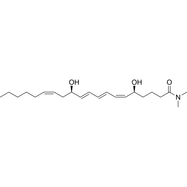 Leukotriene <em>B</em>4 dimethyl amide