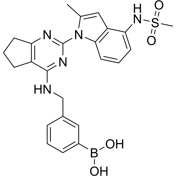 VCP/<em>p</em>97 inhibitor-1