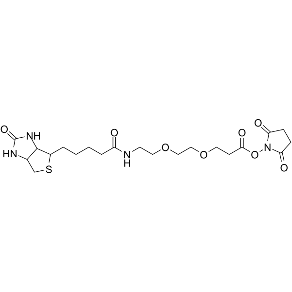 Biotin-PEG2-NHS ester Chemical Structure