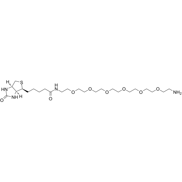 Biotin-PEG6-amine Chemical Structure