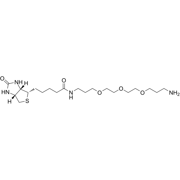 Biotin-PEG3-<em>C</em>3-NH2