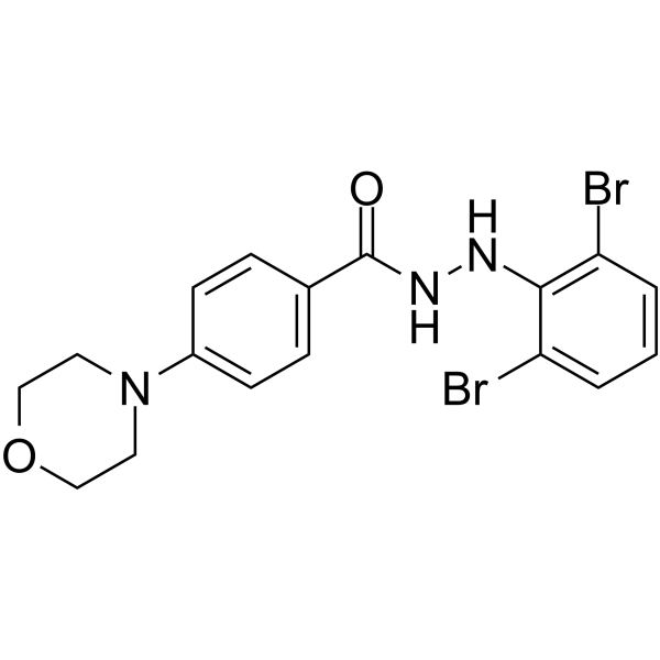 RdRP-IN-4 Chemical Structure
