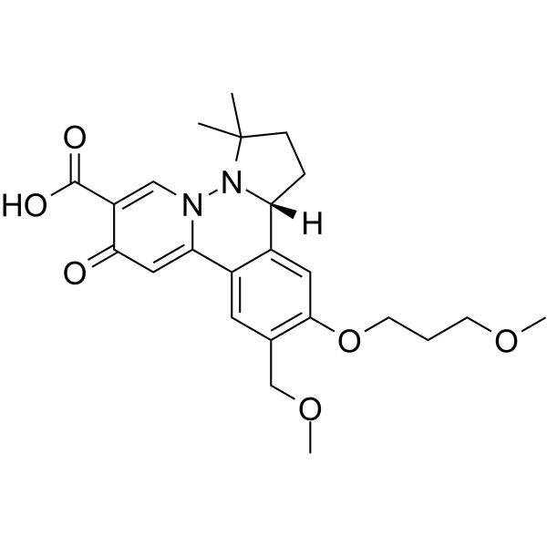 HBV-IN-19 Chemical Structure