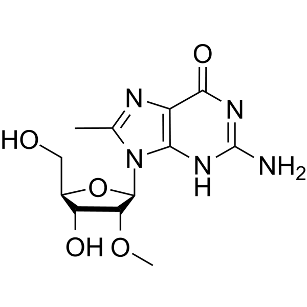 2′-<em>O</em>-Methyl-8-methyl guanosine