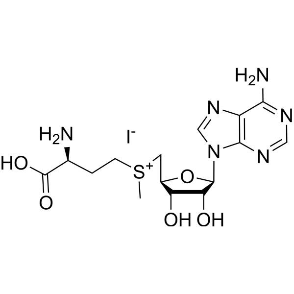 <em>S-Adenosyl</em>-L-<em>methionine</em> iodide