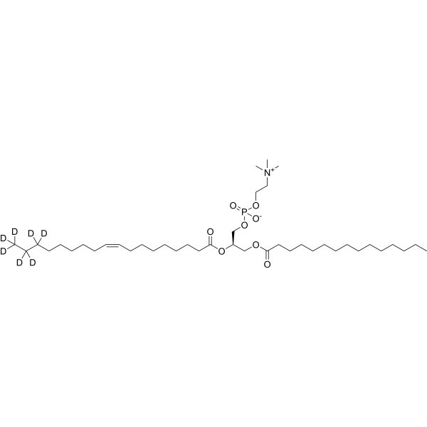 1-Pentadecanoyl-2-oleoyl-sn-glycero-3-<em>phosphocholine</em>-d7