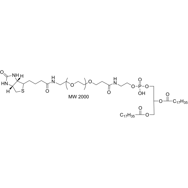 <em>Phospholipid</em>-PEG-Biotin (MW 2000)