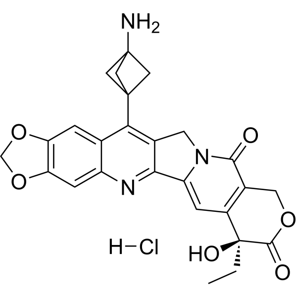 NH2-bicyclo[1.1.1]pentane-7-MAD-MDCPT hydrochloride Chemical Structure