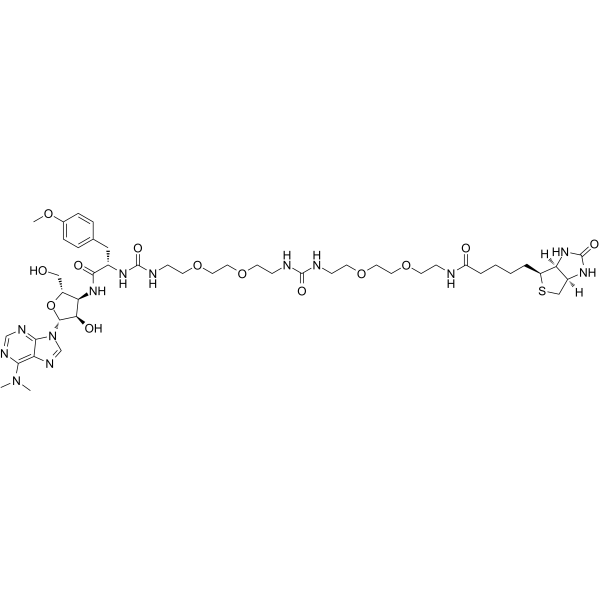 Puromycin-bis(PEG2-amide)-Biotin