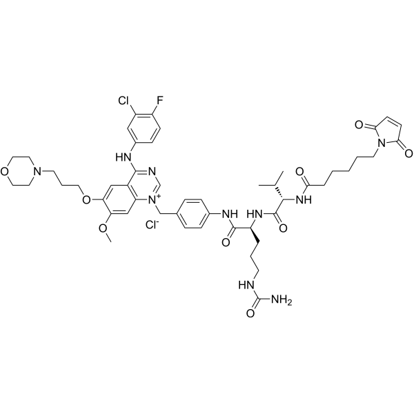 Mc-Val-Cit-PAB-Gefitinib chloride Chemical Structure