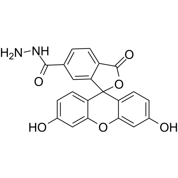 FAM <em>hydrazide</em>, 6-isomer