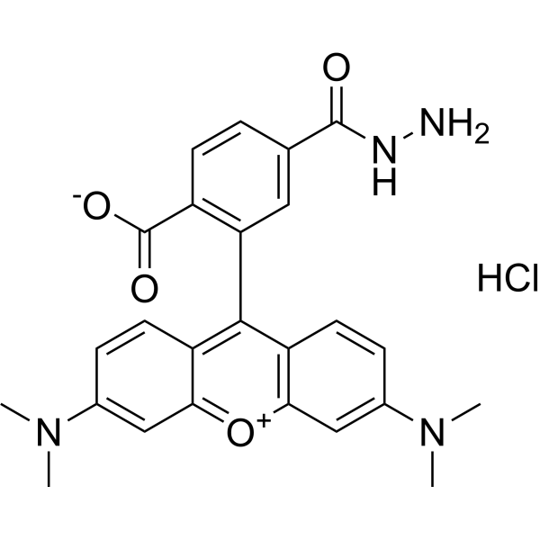 TAMRA hydrazide (6-isomer) Chemical Structure