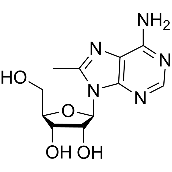 8-Methyladenosine Chemical Structure