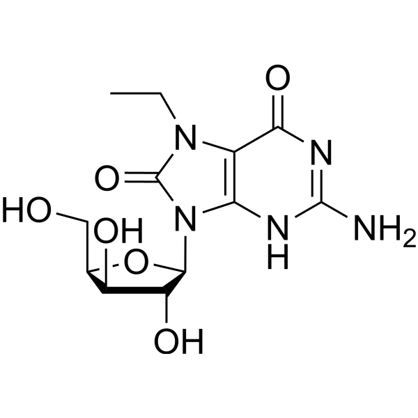7-<em>Ethyl</em>-7,8-<em>dihydro</em>-8-<em>oxo</em>-9-(β-D-<em>xylofuranosyl</em>)<em>guanine</em>