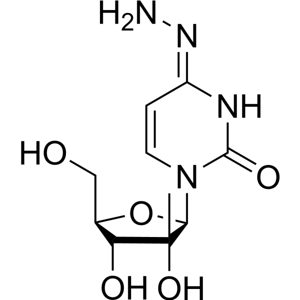 N<em>4</em>-Amino-2’-β-<em>C</em>-methylcytidine