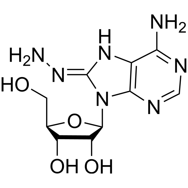8-Hydrazinoadenosine Chemical Structure