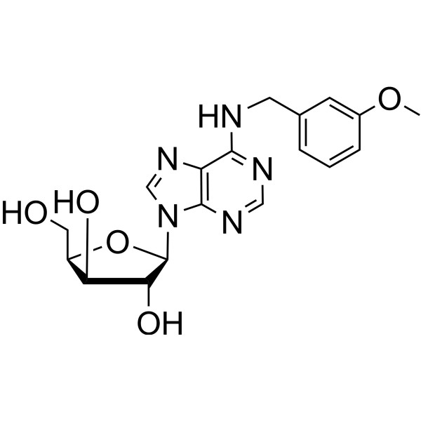 1-(<em>β</em>-D-Xylofuranosyl)-N6-(m-methoxybenzyl)adenine