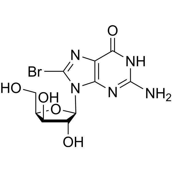 8-Bromo-9-(<em>β</em>-D-xylofuranosyl) guanine