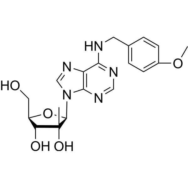 <em>N</em>6-(4-Methoxybenzyl)-2’-C-methyl adenosine