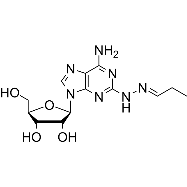 2-(n-Propylidene hydrazino) adenosine Chemical Structure