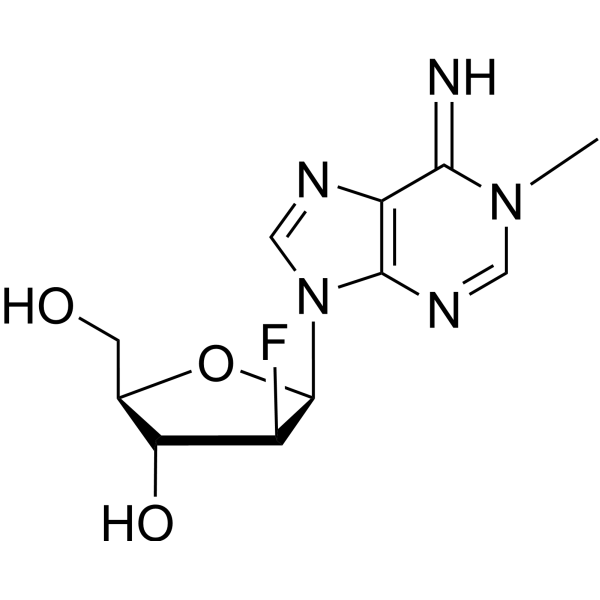 N<em>1</em>-Methyl-2’-deoxy-2’-fluoroarabinoadenosine