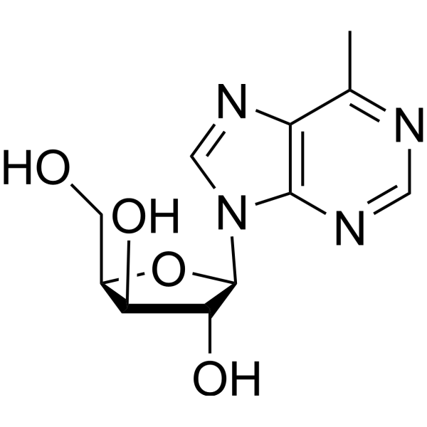 6-Methyl-9-(β-D-xylofuranosyl)purine Chemical Structure