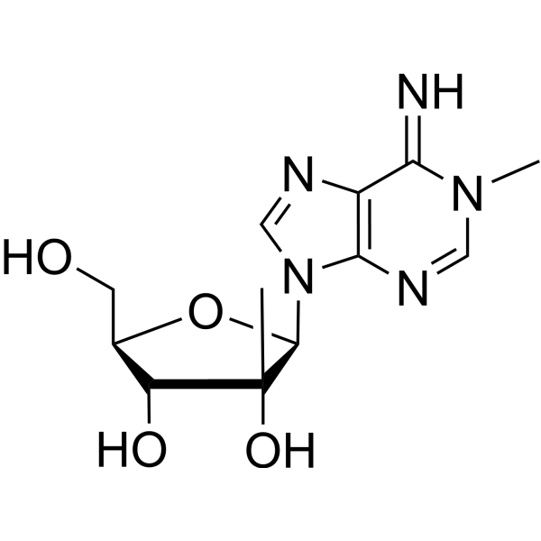 <em>N</em>1-Methyl-<em>2</em>’-beta-C-methyl adenosine