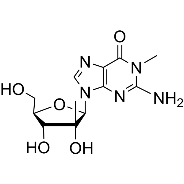 N<em>1</em>-Methyl-2’-beta-<em>C</em>-methyl guanosine
