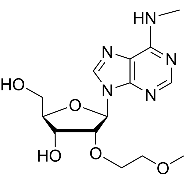 <em>N</em>6-Methyl-2’-O-(2-methoxyethyl) <em>adenosine</em>