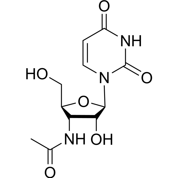 3’-N-Acetyl-3’-amino-3’-deoxyuridine Chemical Structure