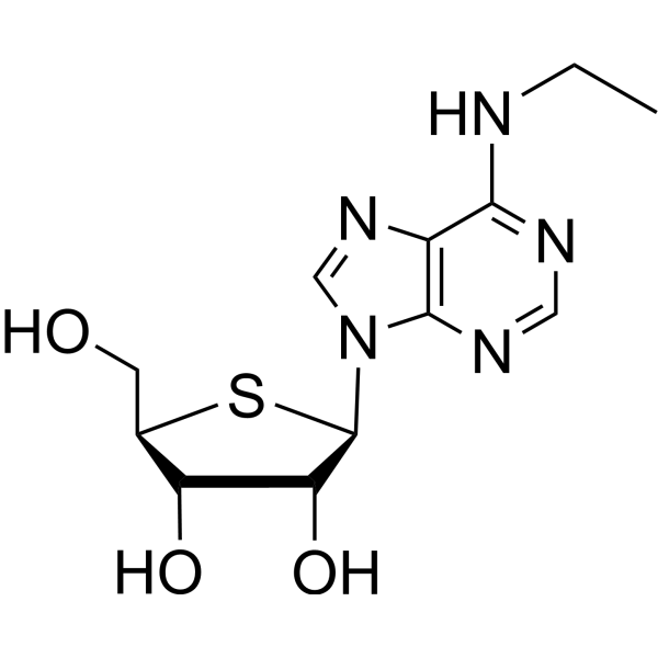 N6-Ethyl-4’-thio-<em>adenosine</em>