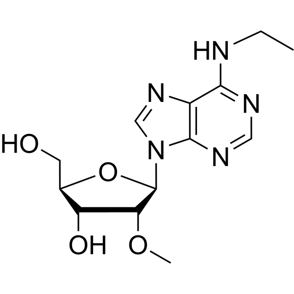 N6-Ethyl-2’-<em>O</em>-methyladenosine