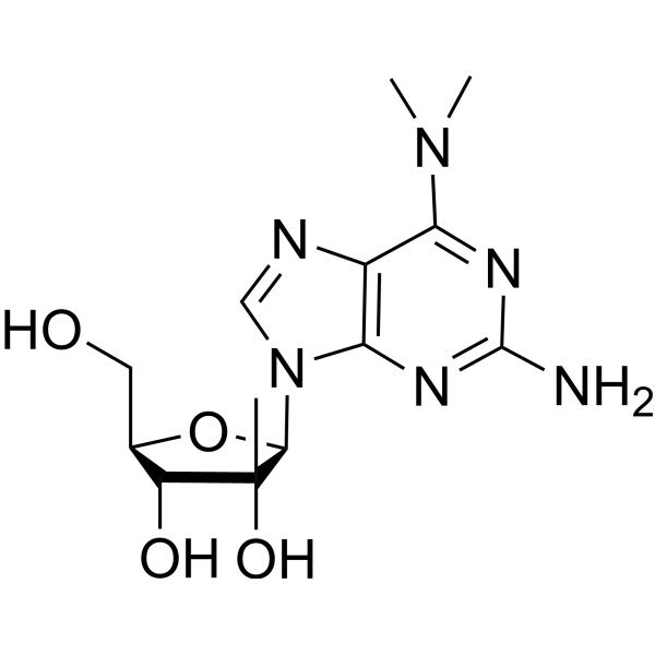 2-<em>Amino</em>-N,N-dimethyl-2′-<em>C</em>-methyladenosine