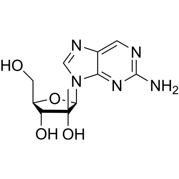 2-<em>Amino</em>-9-(2-β-C-methyl-β-D-ribofuranosyl)-9H-purine