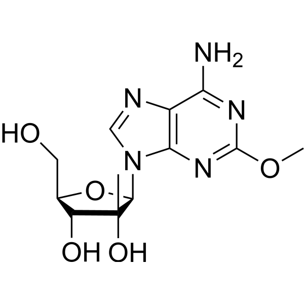 2′-β-C-Methyl-2-methoxyadenosine Chemical Structure