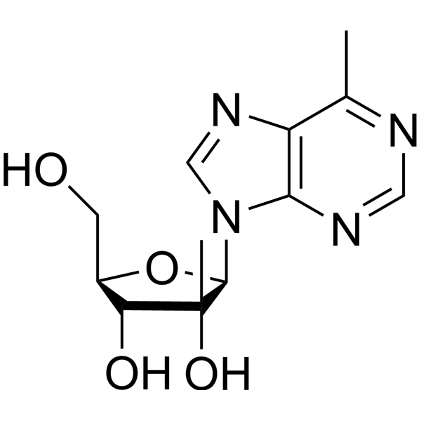 2′-β-<em>C</em>-Methyl-beta-D-6-methylpurine riboside