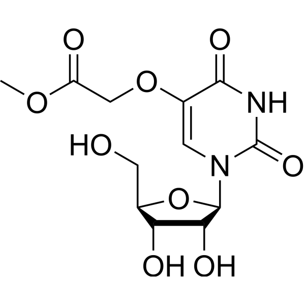Uridine 5-oxyacetic acid <em>methyl</em> ester