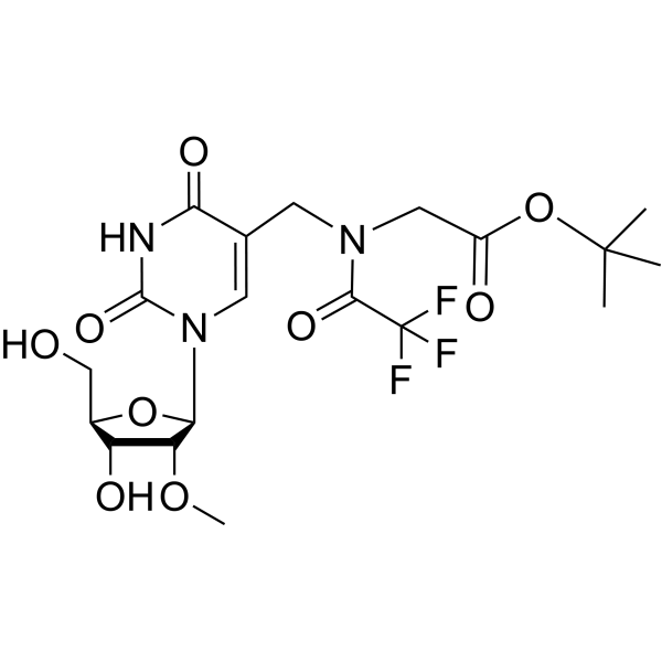 5-<em>N</em>-(t-Butyloxycarbonylmethyl)-<em>N</em>-trifluoro acetyl-aminomethyl-2’-O-methyluridine