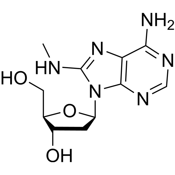 2'-Deoxy-8-methylamino-<em>adenosine</em>