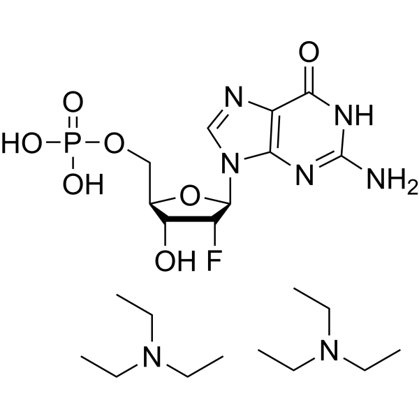 2’-Deoxy-2’-fluoroguanosine 5’-monophosphate triethyl ammonium Chemical Structure