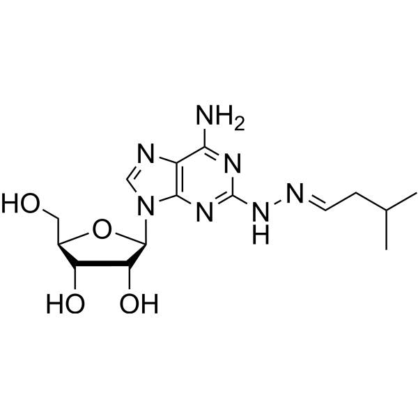 <em>2</em>-(3-Methyln-propylidene hydrazino) <em>adenosine</em>