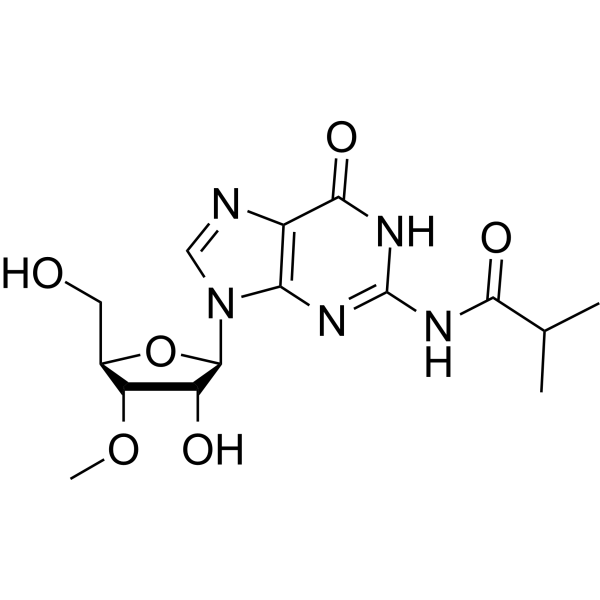 N2-iso-Butyroyl-3’-O-methylguanosine Chemical Structure