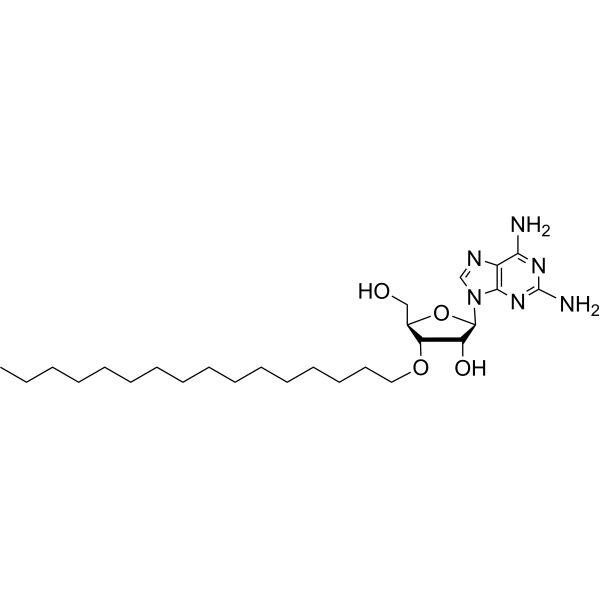 3’-O-Hexadecanyl-2-aminoadenosine Chemical Structure