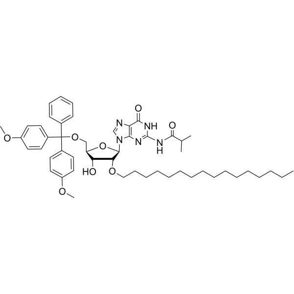 <em>N</em>2-iBu-5’-O-DMTr-2’-O-hexadecanyl guanosine