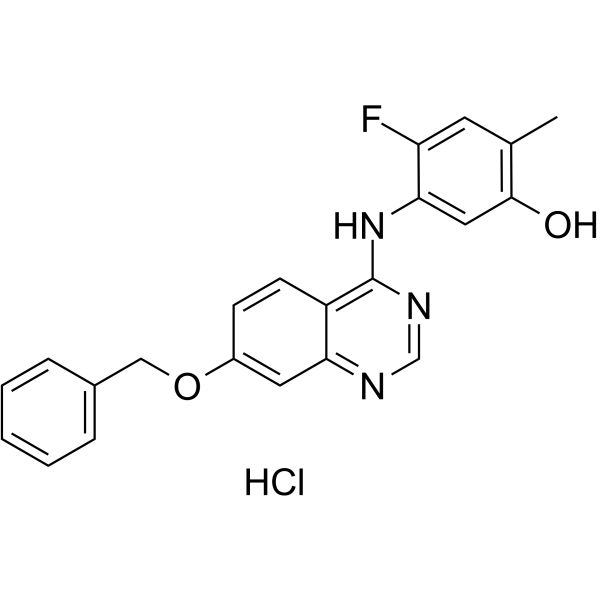 ZM323881 hydrochloride Chemical Structure